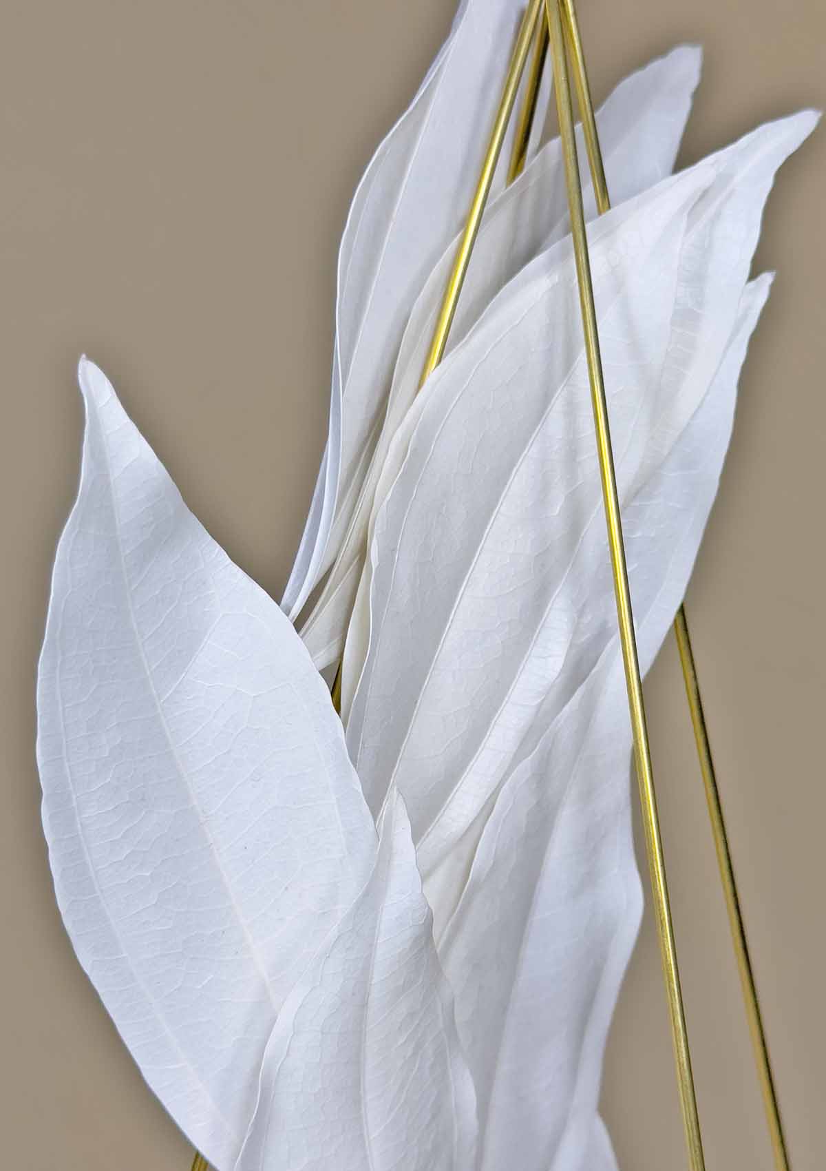 COCCULUS FLOWER MOBILÉ - LARGE